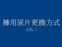 內褲型併用尿片更換方式